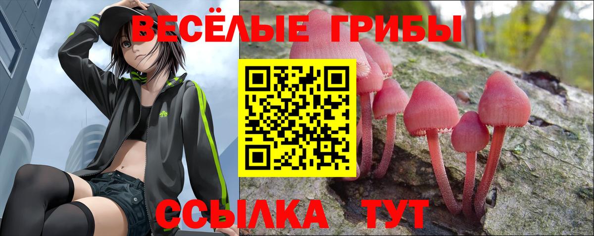 Псилоцибиновые грибы Cubensis Баксан